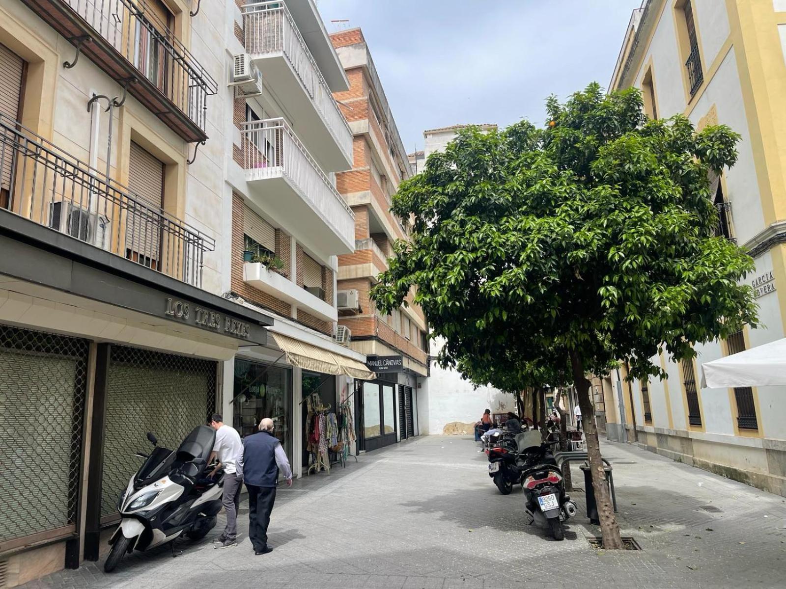 Apartamentos Azonaicas Centro Tendillas Кордова Екстер'єр фото